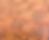 Screenshot 2024-09-27 at 9.00.08 AM.png